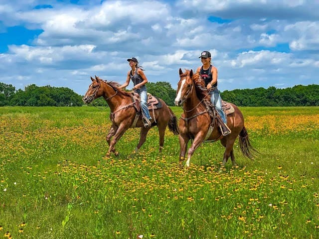 Saddle Up at Benbrook Stables